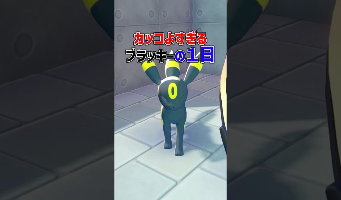 かっこよすぎるブラッキーの一日