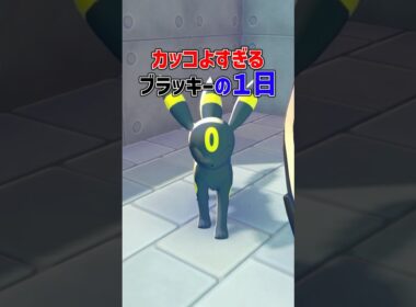 かっこよすぎるブラッキーの一日