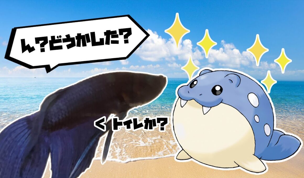 魚とタマザラシ【ポケモン】