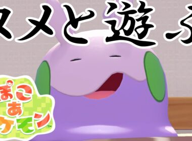 【ぽこ あ ポケモン】ぽこあポケモンでヌメラと遊びまくる！【Switch2】【ポケモン】#7