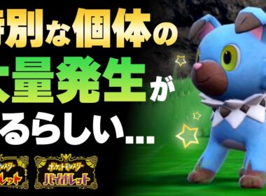 特性「マイペース」イワンコの大量発生を発見！【ポケモンSV】