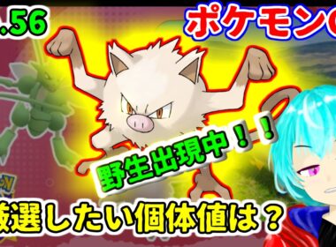【厳選】No.56　マンキー　オコリザルもコノヨザルもGBLで活躍できるから強い個体を探そう！【GBL】