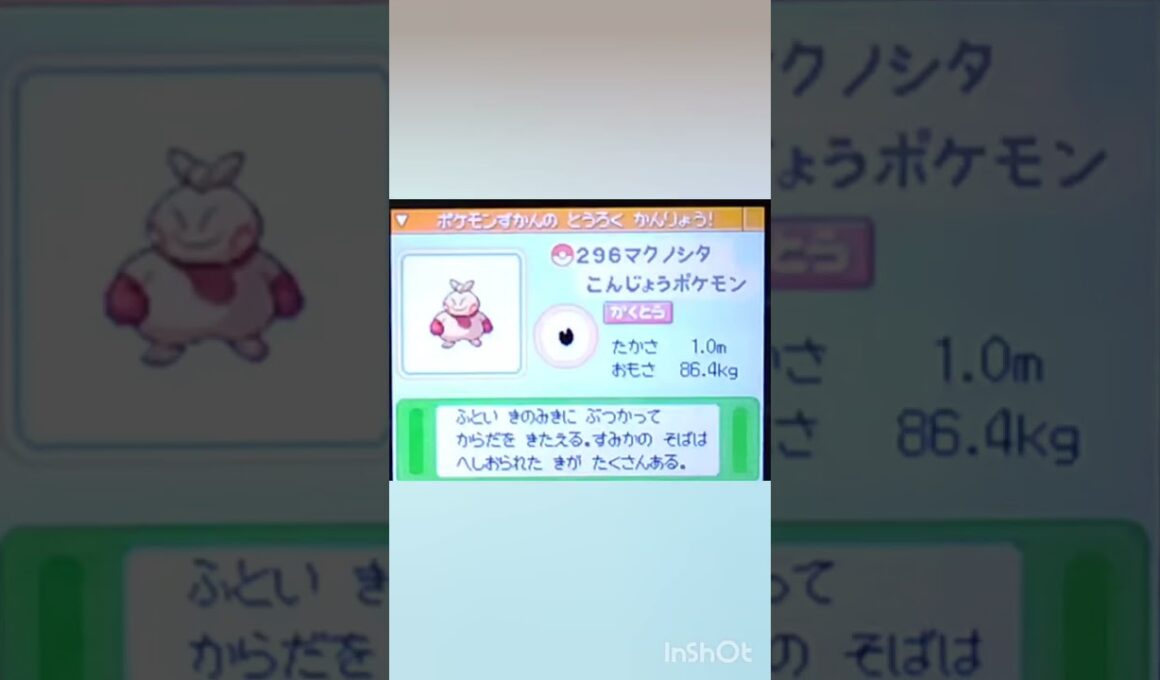 【PokémonDP】The diary Capturing shiny Pokémon's　Day37　Makuhita【ポケモンDP】色違い捕獲日記　37日目　マクノシタ　#shorts