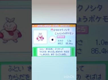 【PokémonDP】The diary Capturing shiny Pokémon's　Day37　Makuhita【ポケモンDP】色違い捕獲日記　37日目　マクノシタ　#shorts