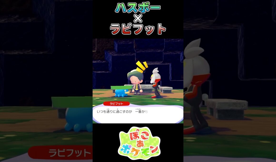 【ぽこあポケモン】ハスボーを元気づけるラビフット【ポケモン】