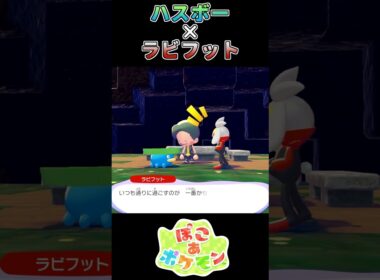 【ぽこあポケモン】ハスボーを元気づけるラビフット【ポケモン】