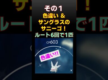 激レア！サングラス色違いガラルサニーゴをルートでゲット！サステナビリティウィーク