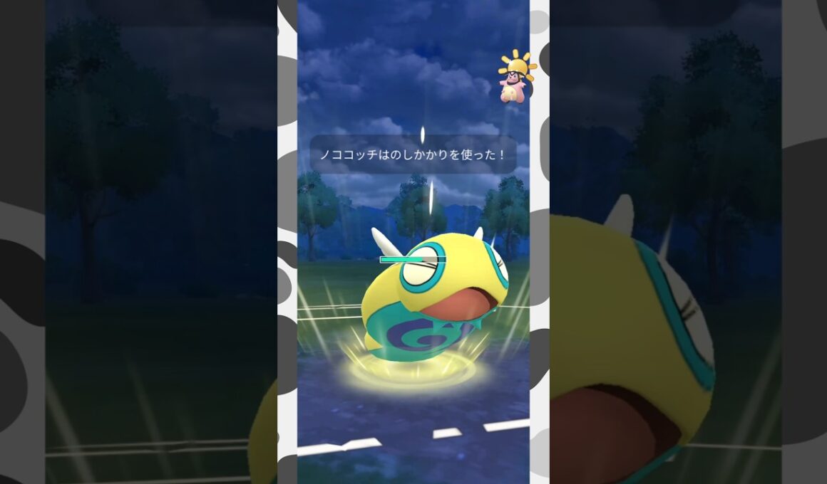 【陽光カップ】ころがってのしかかるパーティ #pokemongo  #バトルリーグ #ポケモンgo #ミルタンク #ベロベルト #ノココッチ