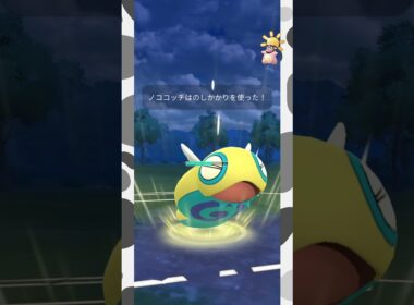 【陽光カップ】ころがってのしかかるパーティ #pokemongo  #バトルリーグ #ポケモンgo #ミルタンク #ベロベルト #ノココッチ