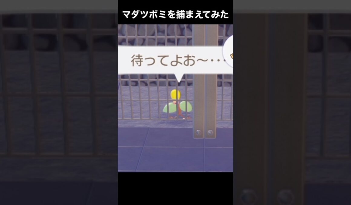 【悲報】マダツボミを収容される【ぽこあポケモン】