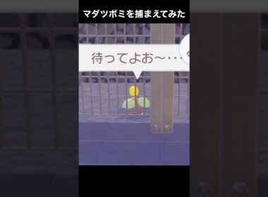 【悲報】マダツボミを収容される【ぽこあポケモン】
