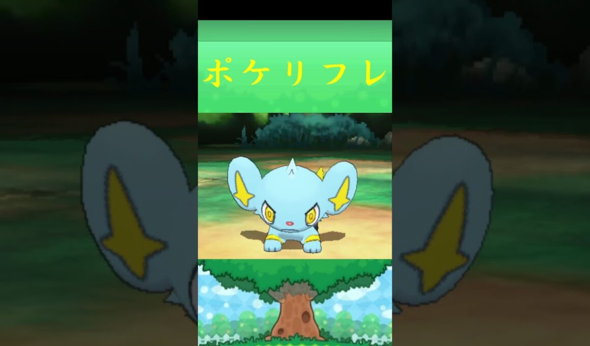 コリンク*ポケモン ポケリフレ ポケパルレ #ポケモン #Pokemon  #3DS #nintendoswitch #ポケモンsv #ポケモン #キャンプ #サンドイッチ #ピクニック