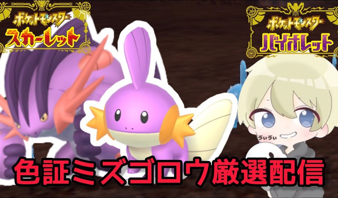 【色違い厳選】色証メガラグラージを使いたい。色違いミズゴロウ朝活厳選配信【ポケモンSV】#ポケモン #ポケモンチャンピオンズ #pokemon #ポケモンSV #朝活 #shorts