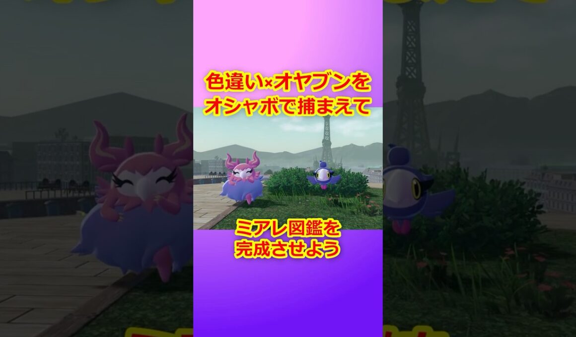 色違いオヤブンをオシャボで捕まえてミアレ図鑑を完成させたい！Part 38 フレフワン編 #ポケモンza  #ポケモン#色違い #フレフワン