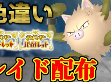 【起きたら出てた】 色オコリザル配布 shiny raid 【ポケモンSV】#参加型配信
