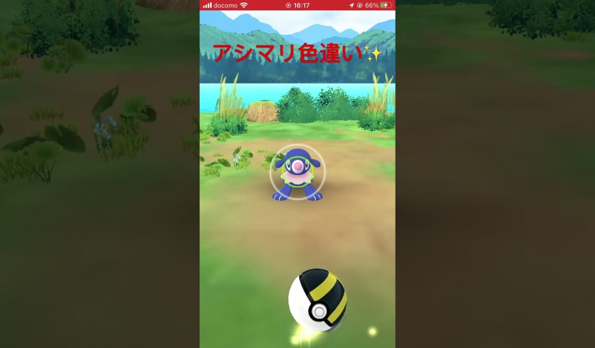 アシマリ 色違い✨