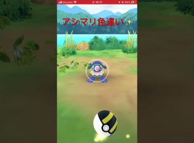 アシマリ 色違い✨