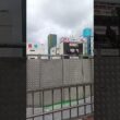 ハトポッポポッポ2爆笑ネタ動画
