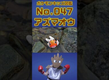 ポケモン実体図鑑No 047アズマオウ #ポケモンキッズ #アズマオウ