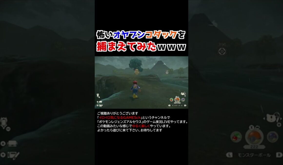 怖いオヤブンコダックを捕獲する！【Pokémon LEGENDS アルセウス】