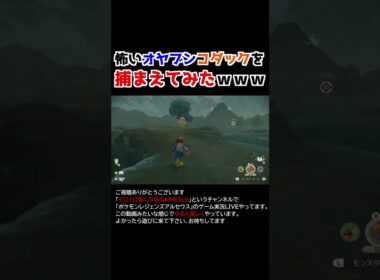 怖いオヤブンコダックを捕獲する！【Pokémon LEGENDS アルセウス】