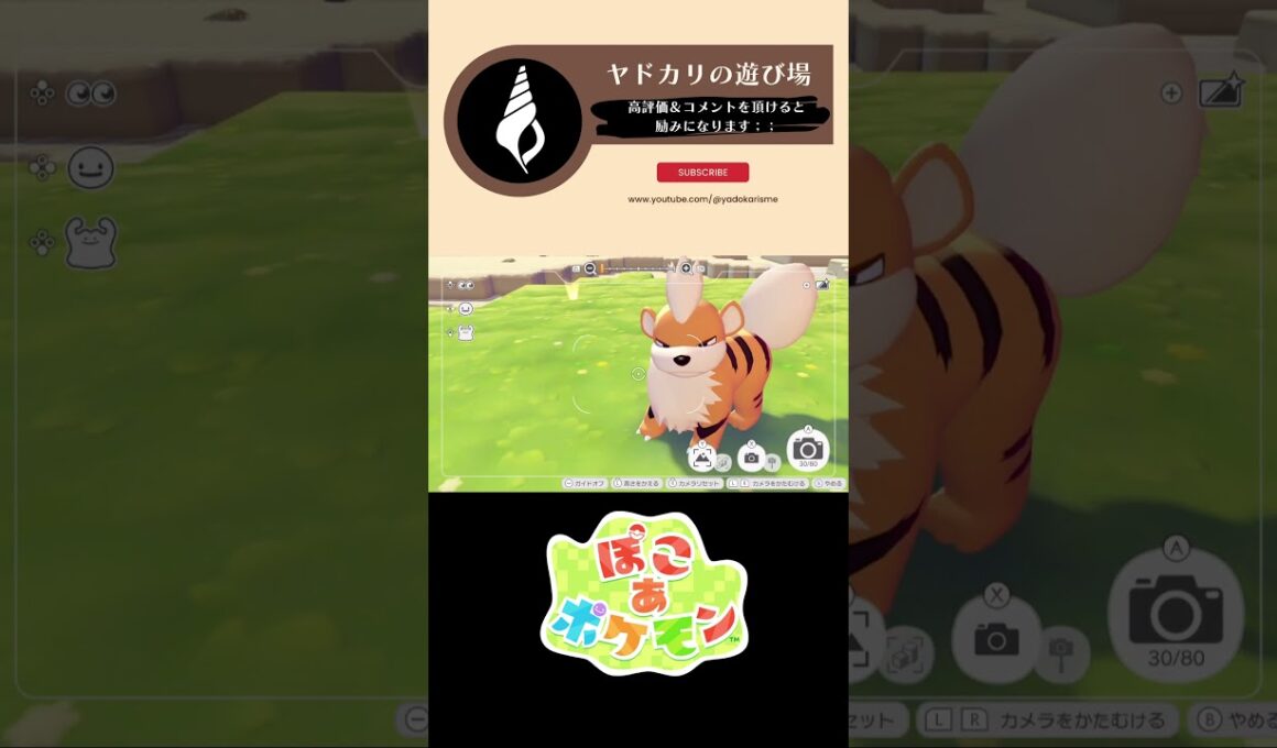 【ぽこぽけ×55クリエイト】ガーディの暖炉付き別荘 #ぽこあポケモン #ぽこポケ #55クリエイト