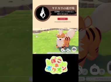【ぽこぽけ×55クリエイト】ガーディの暖炉付き別荘 #ぽこあポケモン #ぽこポケ #55クリエイト