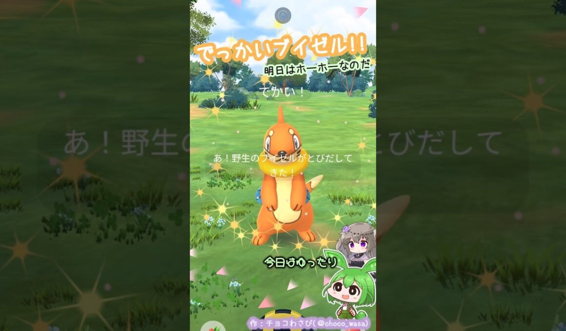【ポケGO】でっかいブイゼル発見！明日はダイマックスホーホー初実装なのだ！...アメ集め？