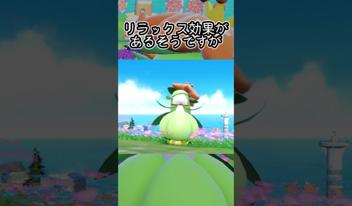 【疲れた人向け】ドレディア6匹とピクニック【ポケモンSV】#Shorts