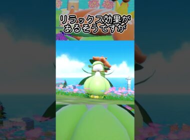 【疲れた人向け】ドレディア6匹とピクニック【ポケモンSV】#Shorts
