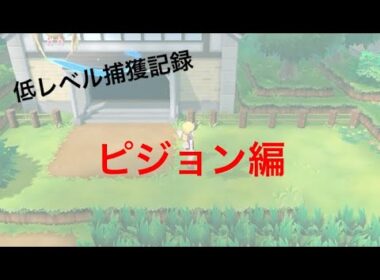 【低レベル捕獲記録】No0017 ピジョン編