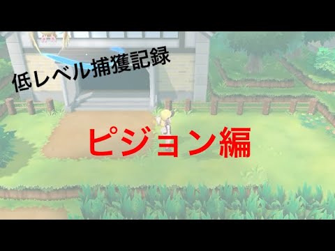 【低レベル捕獲記録】No0017 ピジョン編