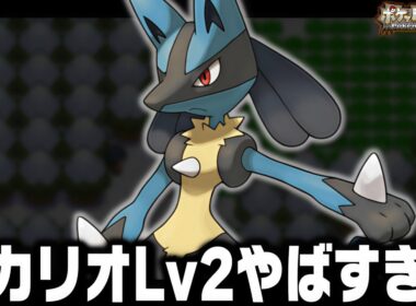 ルカリオLv2が最初のポケモンだったら殿堂入りまで無双できるのか