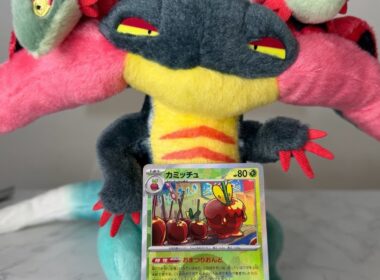 新レギュのドラパほんまに強いんか？