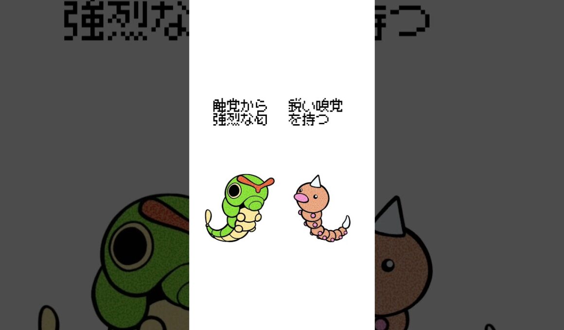 キャタピーvsビードル