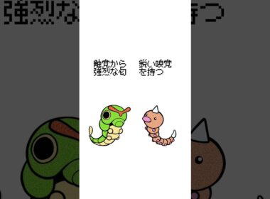 キャタピーvsビードル