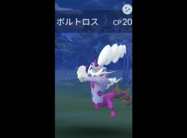 【Pokémon GO】実装後、即ゲット 色違いボルトロス【Shiny】
