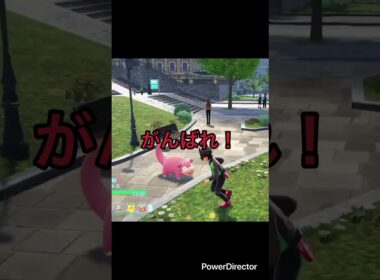 【Pokémon LEGENDS Z-A】一生懸命に少女を追いかけるヤドン　#ポケモンza #ゲームリハビリ #切り抜き #shorts