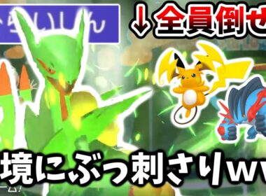 まだバレてないぞ！「メガジュカイン」が環境に刺さりまくってる件ｗｗｗｗｗ【ポケモンチャンピオンズ|Pokémon Champions】実況プレイ