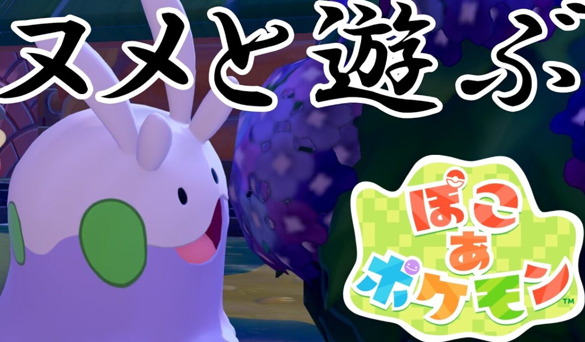 【ぽこ あ ポケモン】ぽこあポケモンでヌメラと遊びまくる！【Switch2】【ポケモン】#8