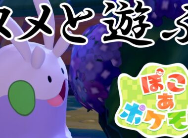 【ぽこ あ ポケモン】ぽこあポケモンでヌメラと遊びまくる！【Switch2】【ポケモン】#8