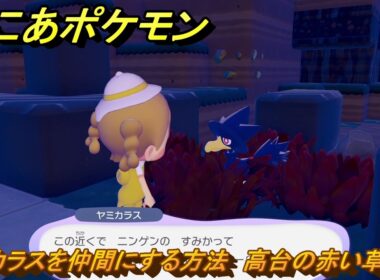 ぽこあポケモン　ヤミカラスを仲間にする方法　高台の赤い草むら　＃２７７　【ぽこポケ】
