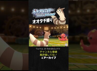 【オオタチ縛り旅】電気タイプのジムリーダーなのに登場するオクタン。【ダイパリメイク／ポケモン／生放送切り抜き】