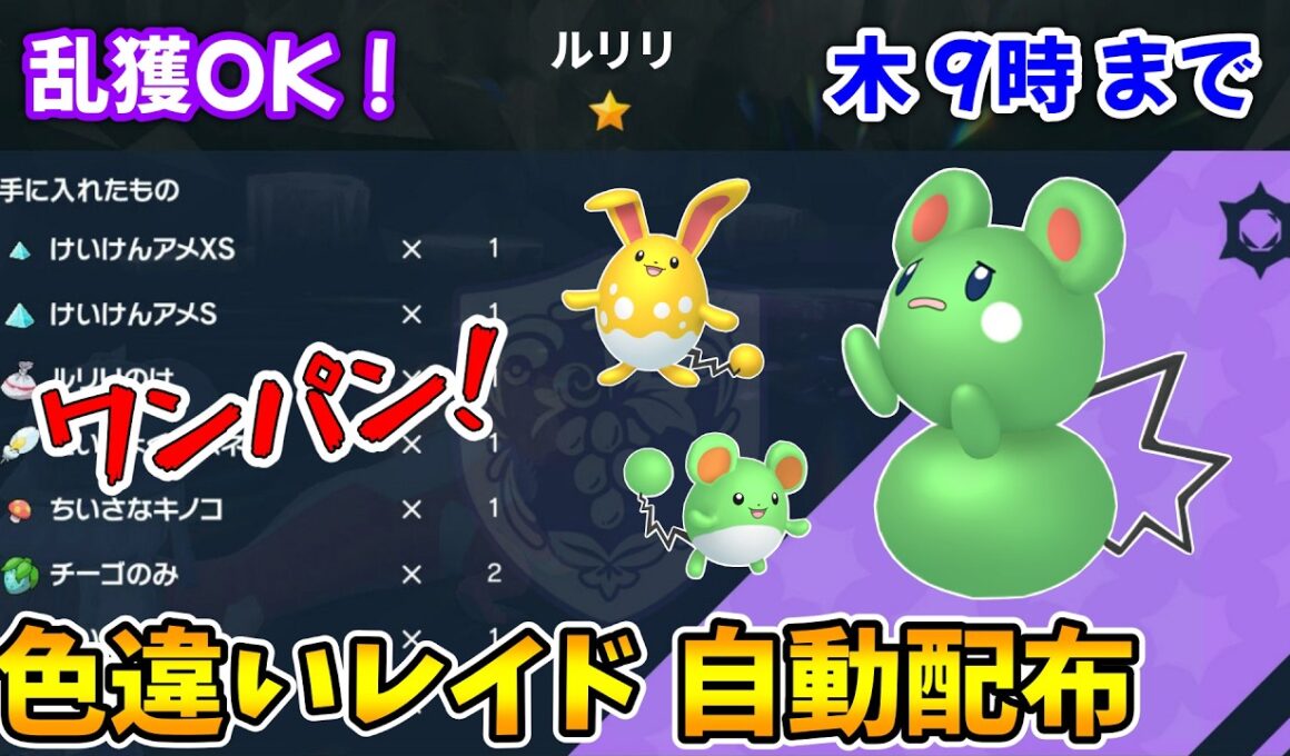 乱獲OK！ルリリ色違いレイド自動配布会！【ポケモンSV】
