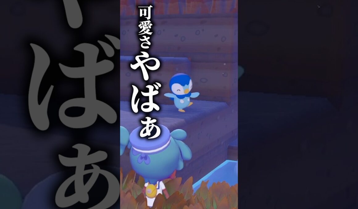 ポッチャマの喜びの舞！【#ぽこあポケモン】