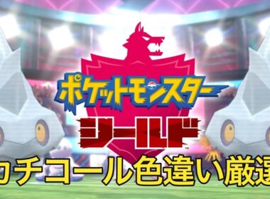 ポケットモンスターシールド　色違い厳選カチコール編～気分リセッシュで一旦パルデアを離れ大好きな孵化厳選で癒されたい男~※色違い出るまでただ孵化させるだけです