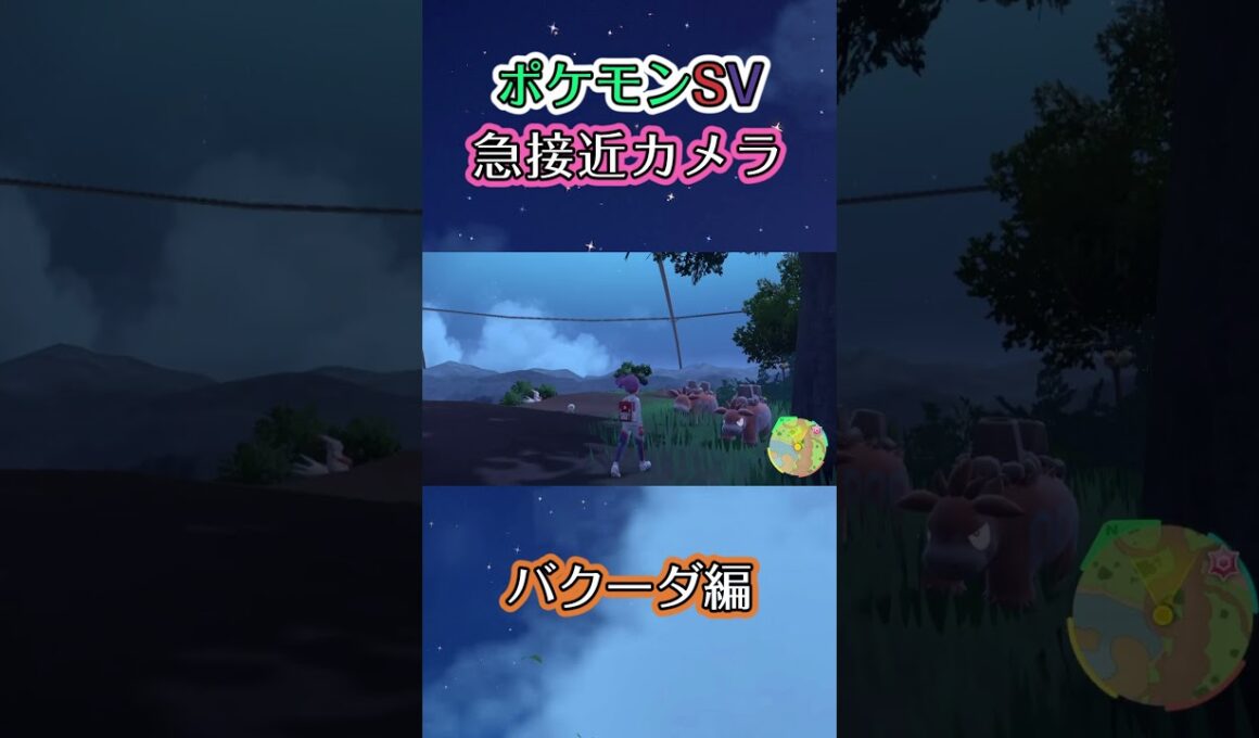 【ポケモンSV】挙動不審な動きをするバクーダを眺めるだけの動画 #ポケモン #ポケモンsv #バクーダ #shorts