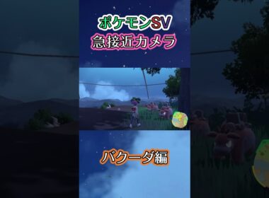 【ポケモンSV】挙動不審な動きをするバクーダを眺めるだけの動画 #ポケモン #ポケモンsv #バクーダ #shorts