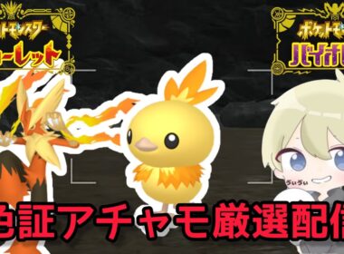 【色違い厳選】色証メガバシャーモを使いたい。色違いアチャモ厳選配信【ポケモンSV】#ポケモン #ポケモンチャンピオンズ #pokemon #ポケモンSV #朝活 #shorts