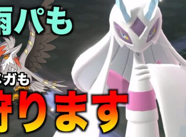 新環境になったことでさらに活躍の場が増えた「メガユキメノコ」が強い【ポケモンチャンピオンズ】